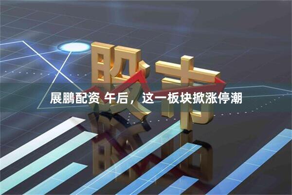 展鵬配资 午后，这一板块掀涨停潮