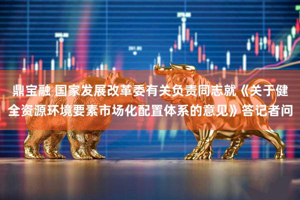 鼎宝融 国家发展改革委有关负责同志就《关于健全资源环境要素市场化配置体系的意见》答记者问