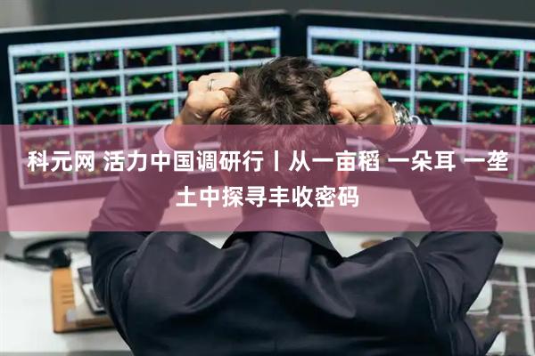科元网 活力中国调研行丨从一亩稻 一朵耳 一垄土中探寻丰收密码