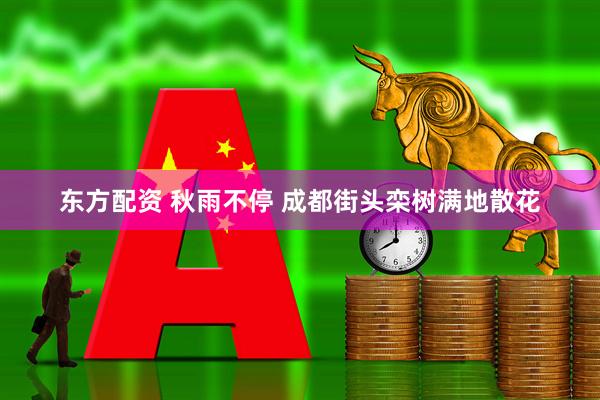 东方配资 秋雨不停 成都街头栾树满地散花