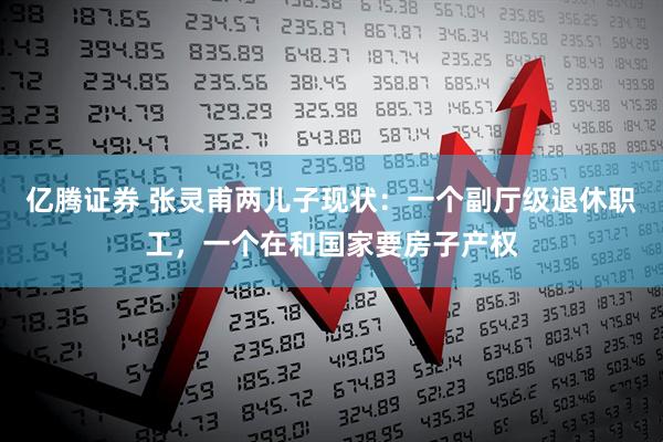 亿腾证券 张灵甫两儿子现状：一个副厅级退休职工，一个在和国家要房子产权