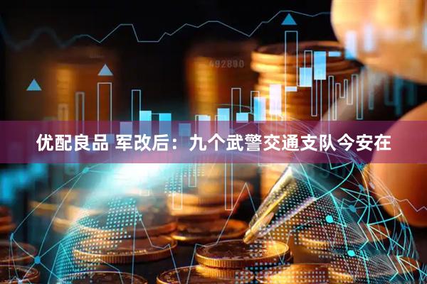 优配良品 军改后：九个武警交通支队今安在